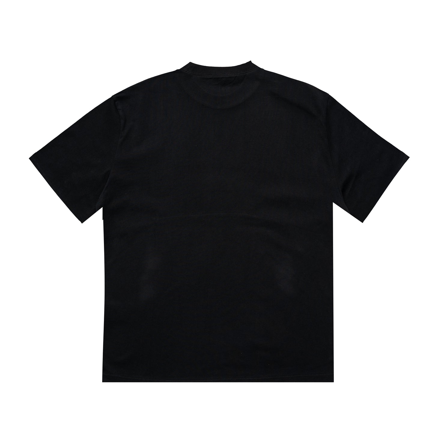 Printed T-Shirt: High-End Fashion Statement-1116