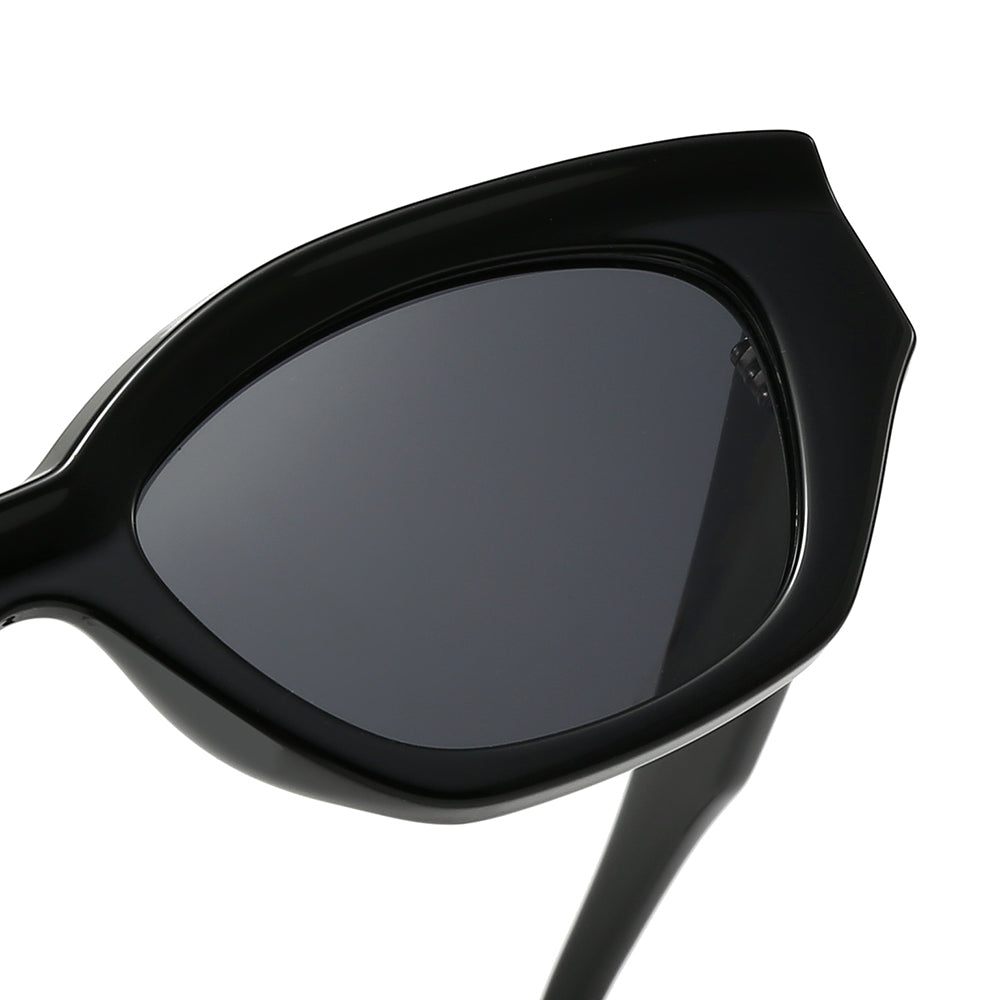 Dollger Acetate Geometric Sunglasses