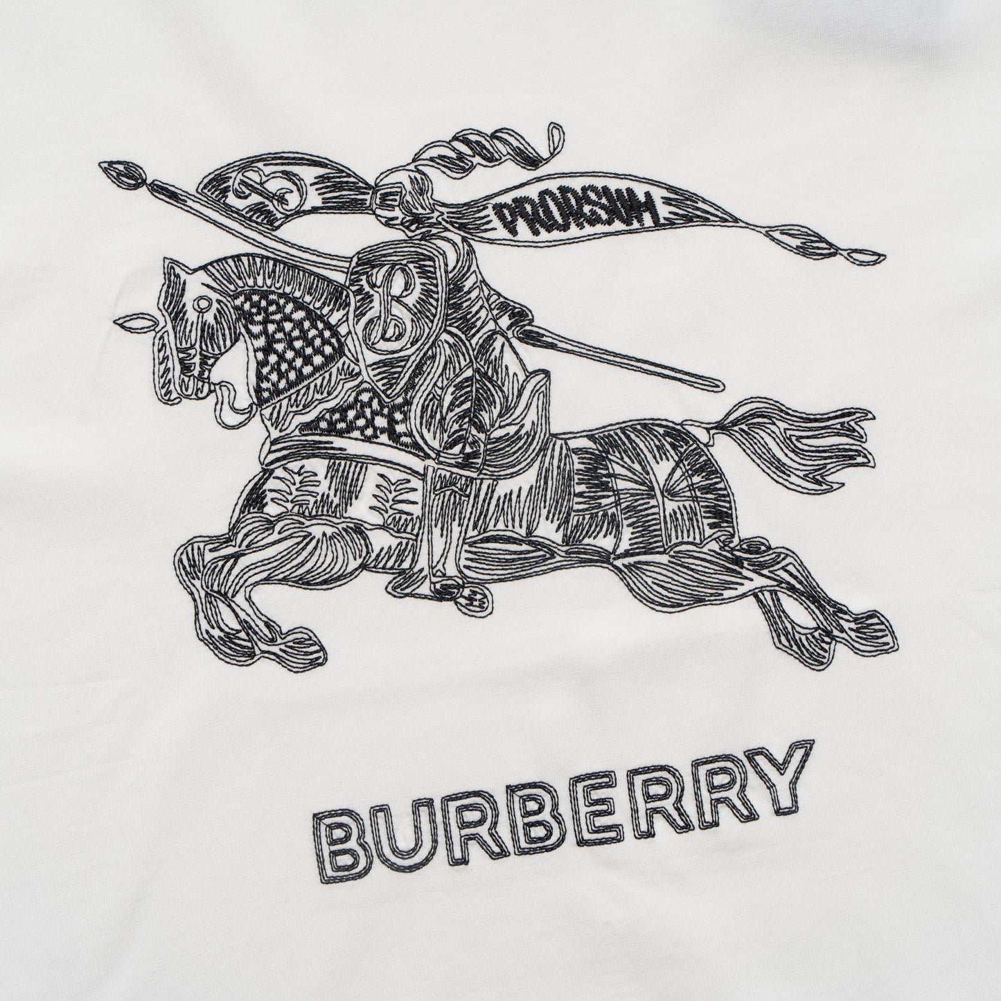 Printed T-Shirt: High-End Fashion Statement-1183