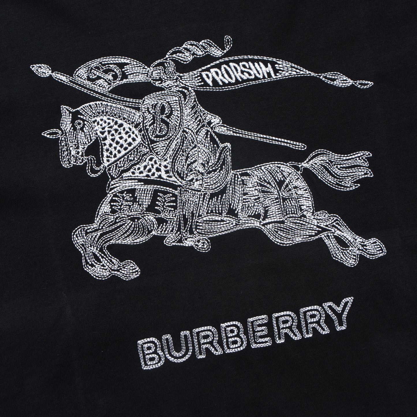 Printed T-Shirt: High-End Fashion Statement-1187