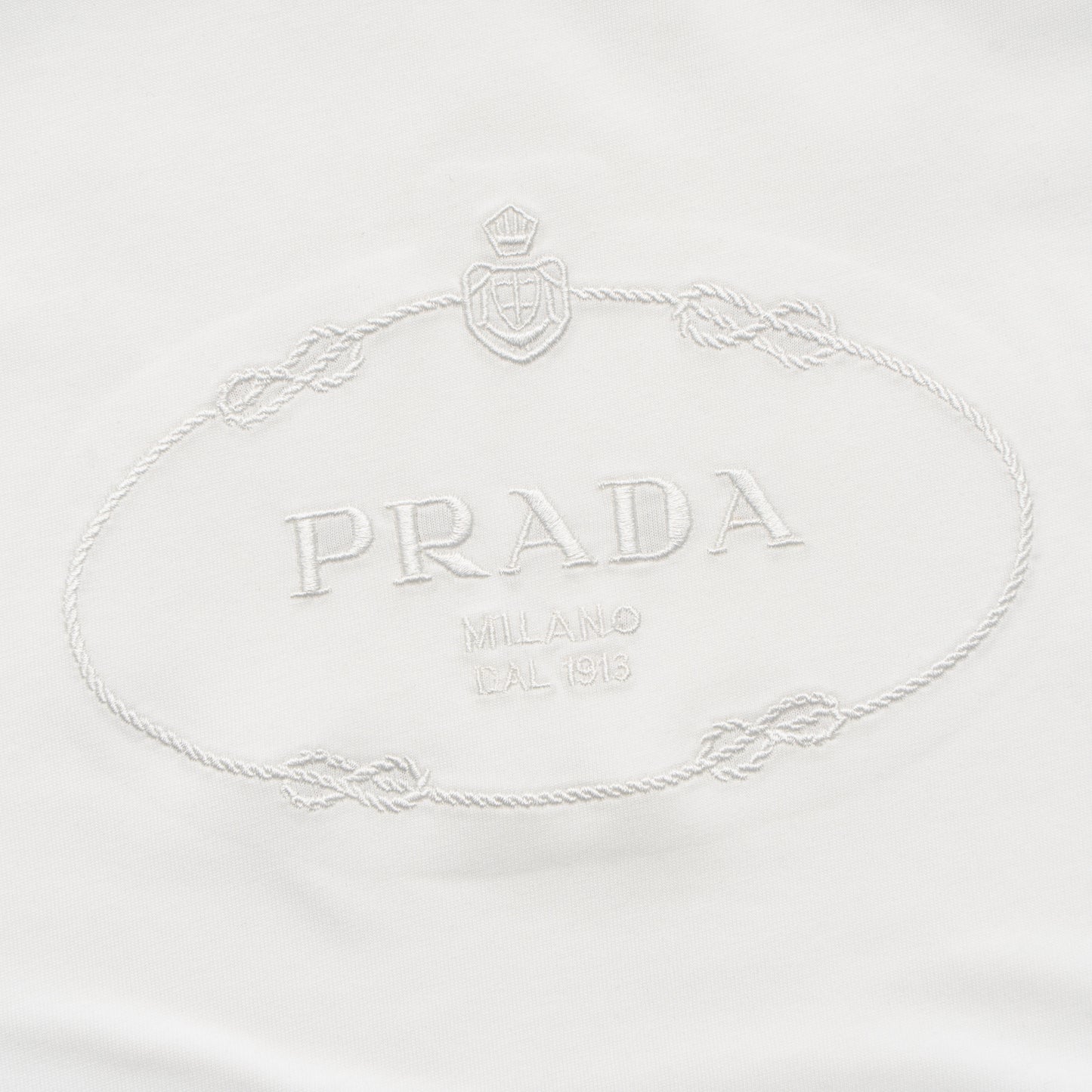 Printed T-Shirt: High-End Fashion Statement-1199