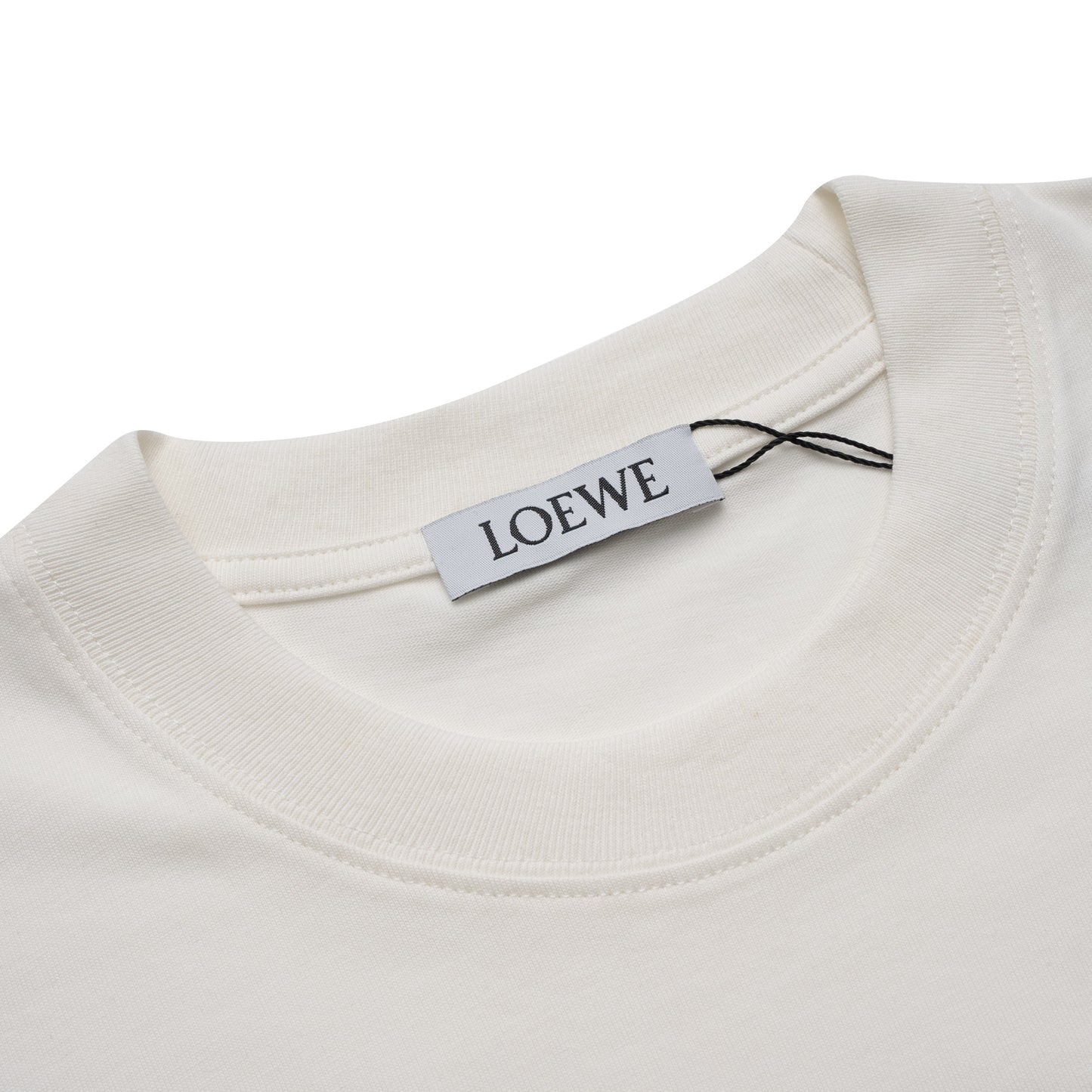 Printed T-Shirt: High-End Fashion Statement-1159