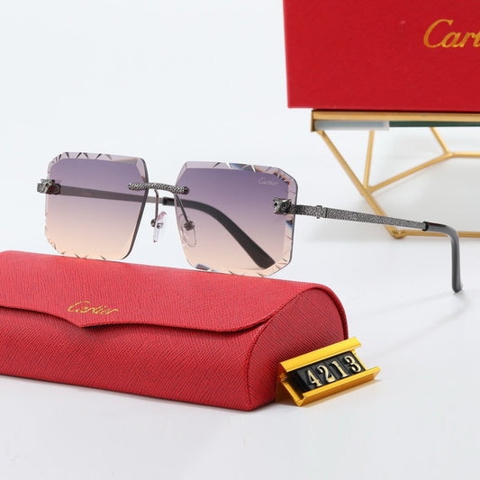 Leopard Head One piece pilot sunglasses 4213