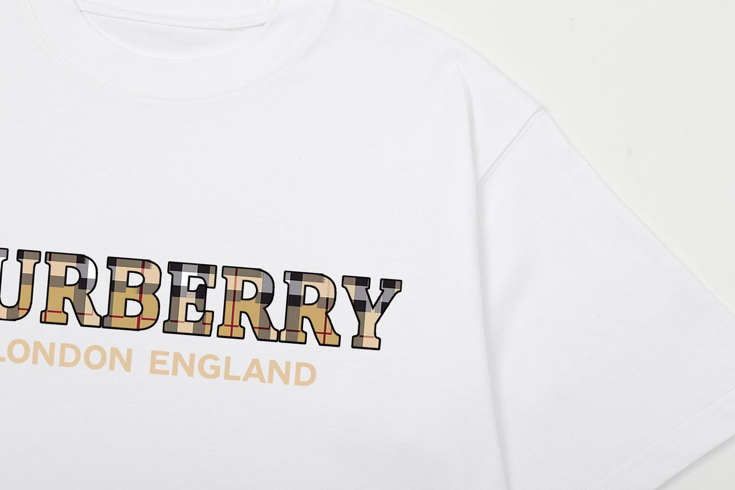 Embroidered printed T-shirt