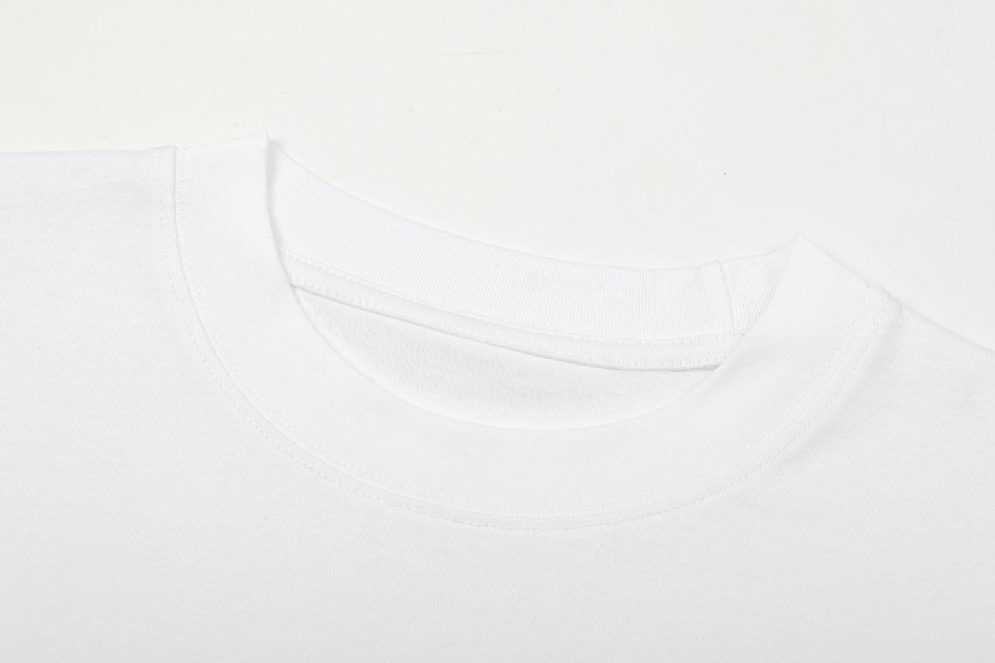 Embroidered printed T-shirt