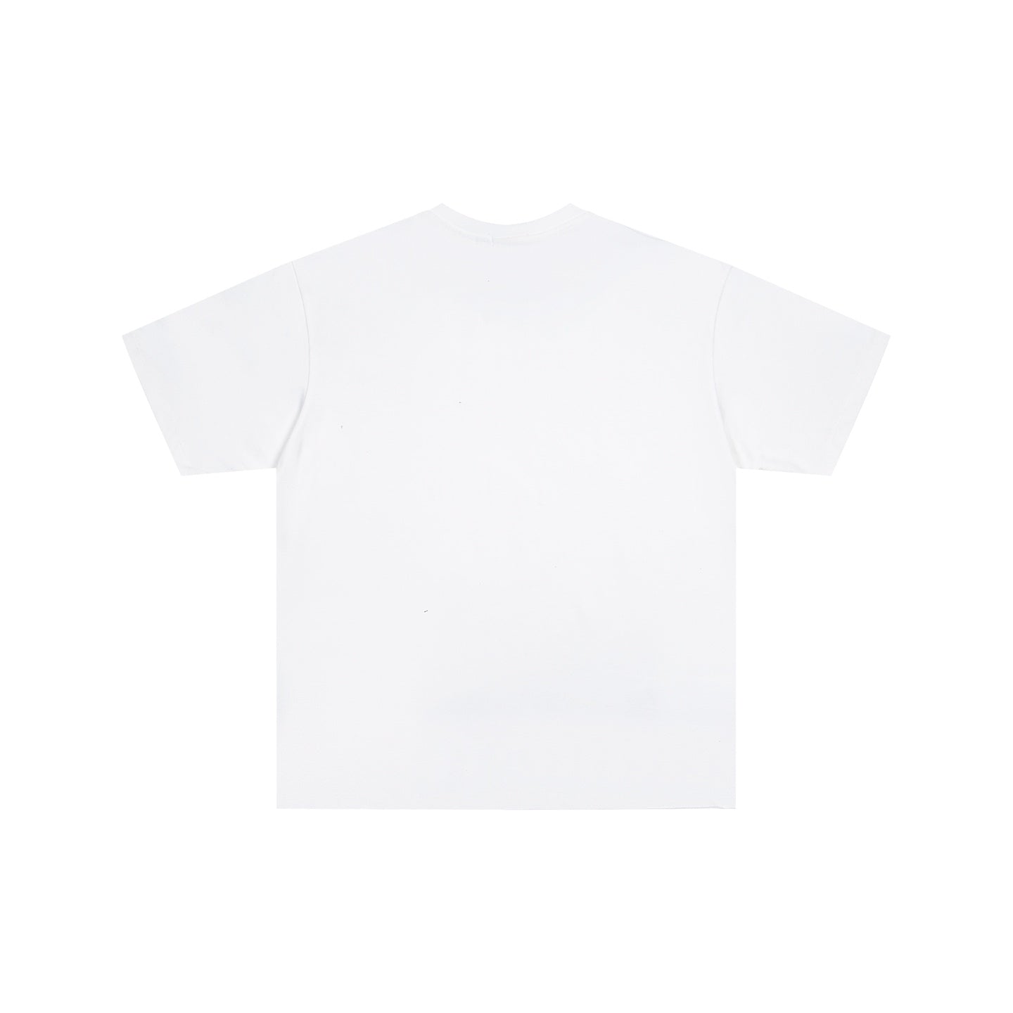 Embroidered cotton T-shirt