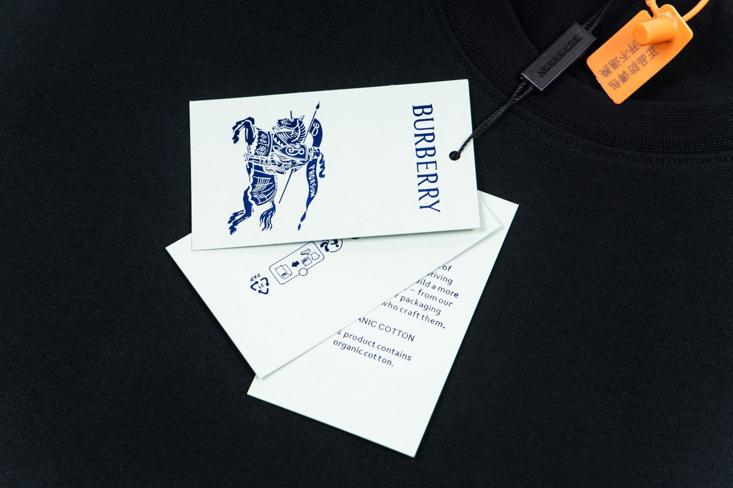 Embroidered cotton T-shirt