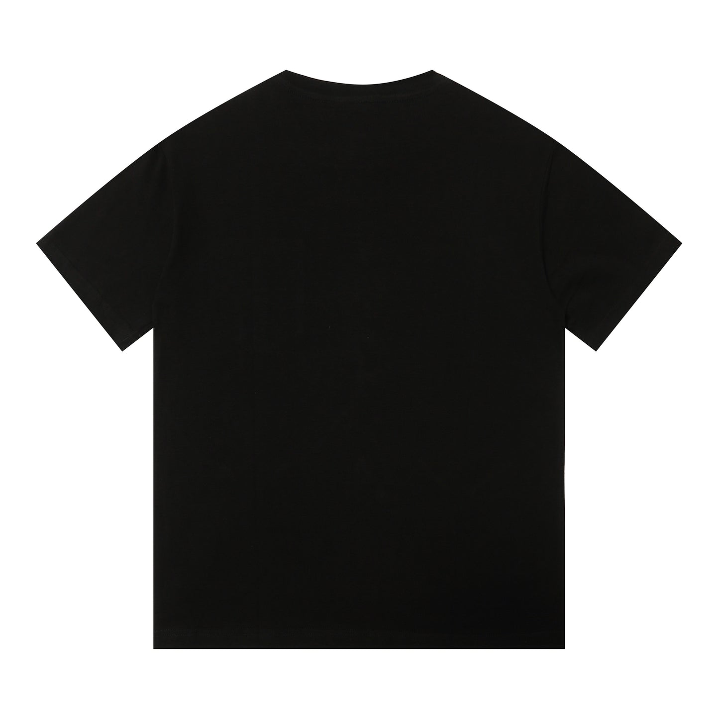 2 color fashion T-shirt 313