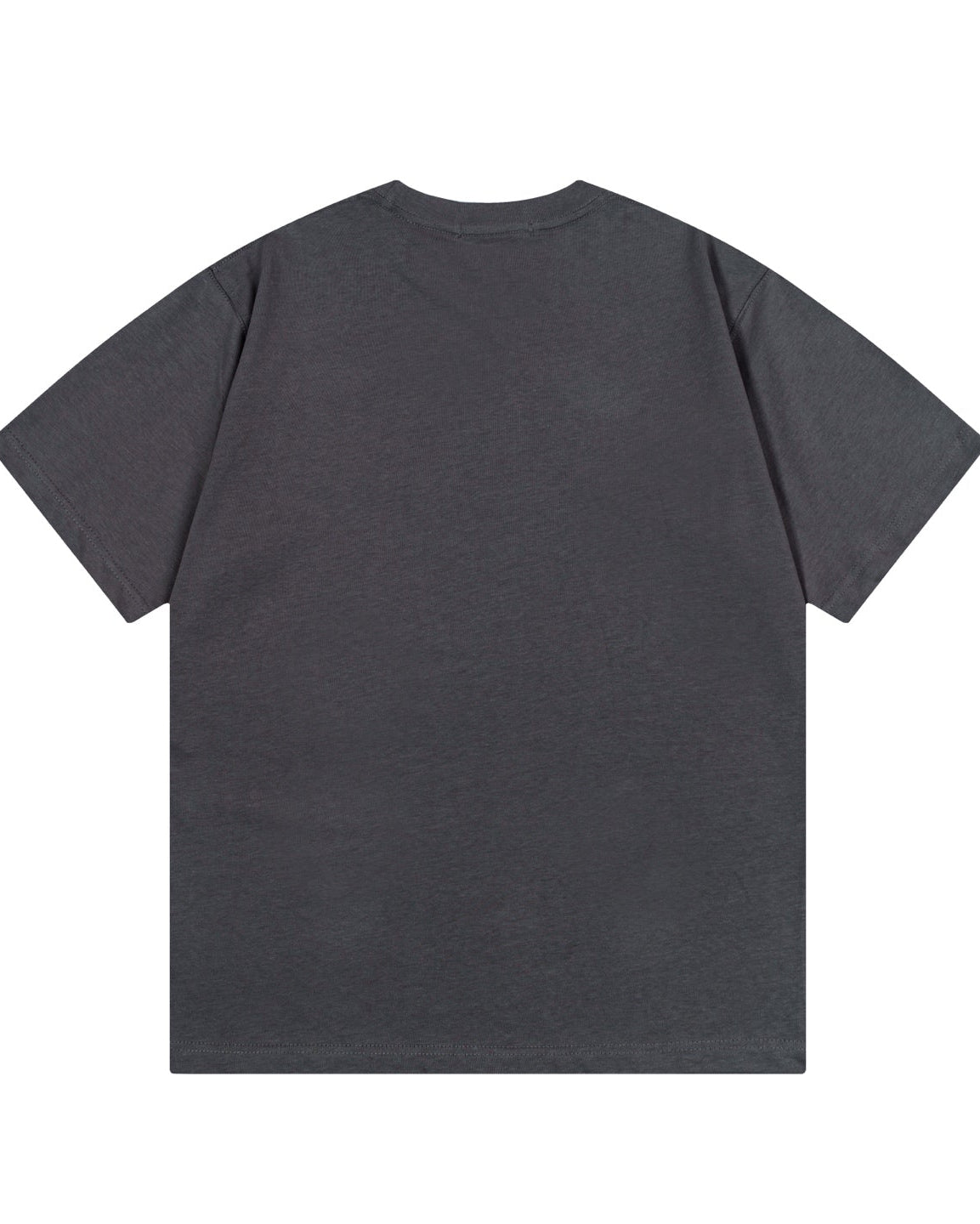 Embroidered printed T-shirt