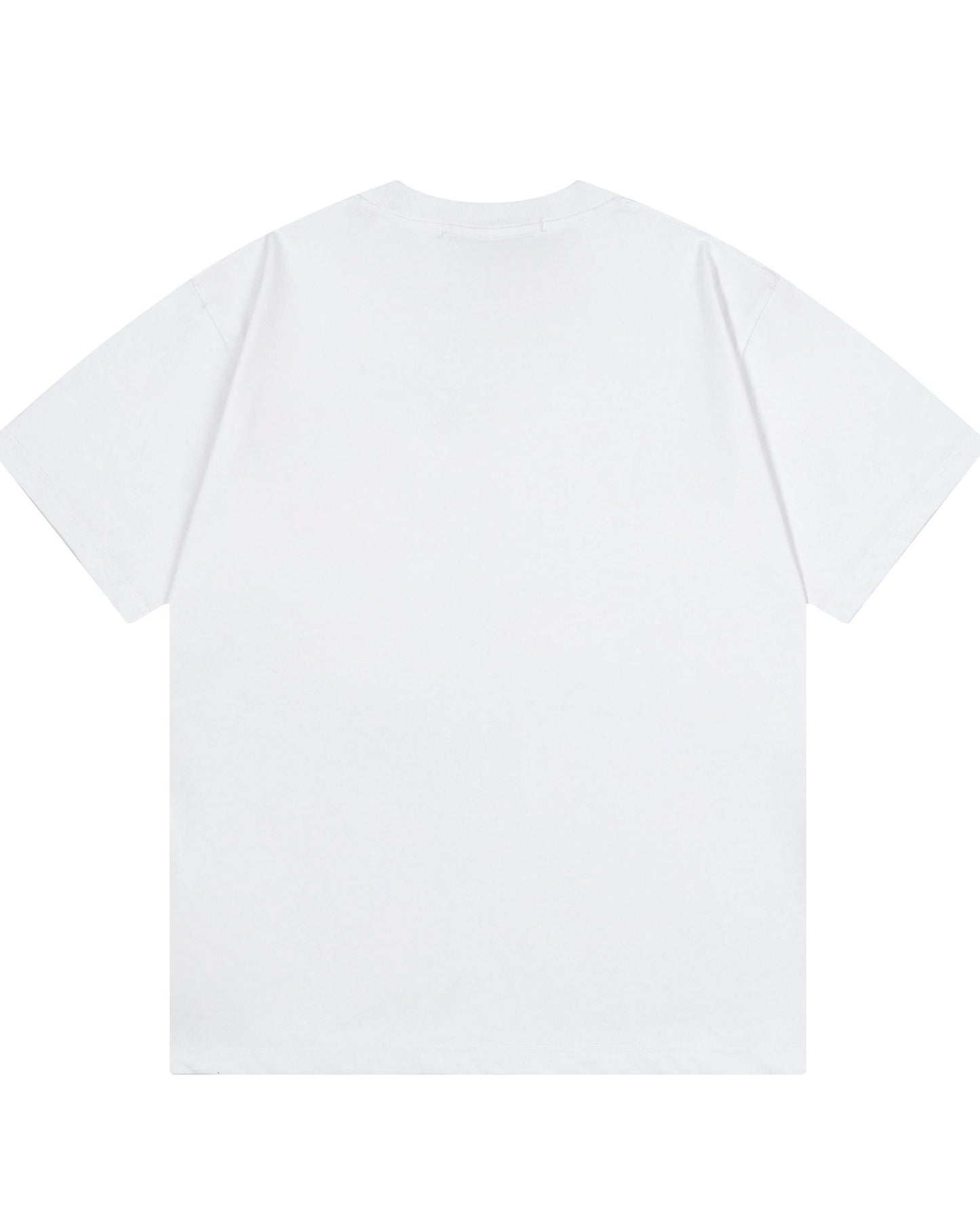 Embroidered printed T-shirt